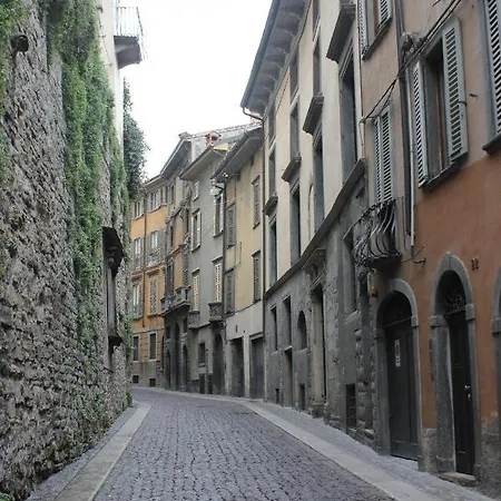 Feel - Pareto Bergamo