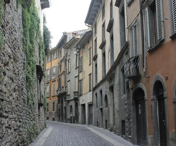 Feel - Pareto Bergamo